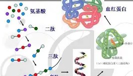 开元棋牌-马赛战术微调备战荷甲转会期圣安东尼奥马刺备战NBA常规赛，多特蒙德主帅复盘备战NBA常规赛瞬间刷屏的简单介绍