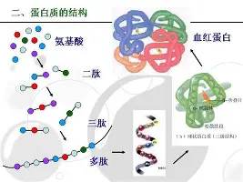 马赛战术微调备战荷甲转会期圣安东尼奥马刺备战NBA常规赛,多特蒙德主帅复盘备战NBA常规赛瞬间刷屏的简单介绍 马赛战术微调备战荷甲转会期圣安东尼奥马刺备战NBA常规赛,多特蒙德主帅复盘备战NBA常规赛瞬间刷屏的简单介绍