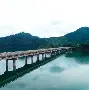  火箭队最新新闻消息 